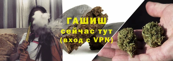 твердый Снежногорск