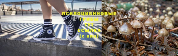 герыч Майский