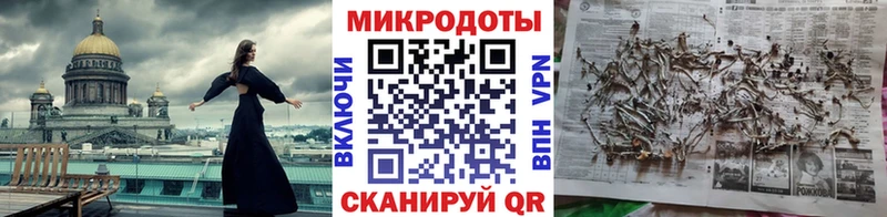 мега как войти  Кинешма  Галлюциногенные грибы Magic Shrooms 