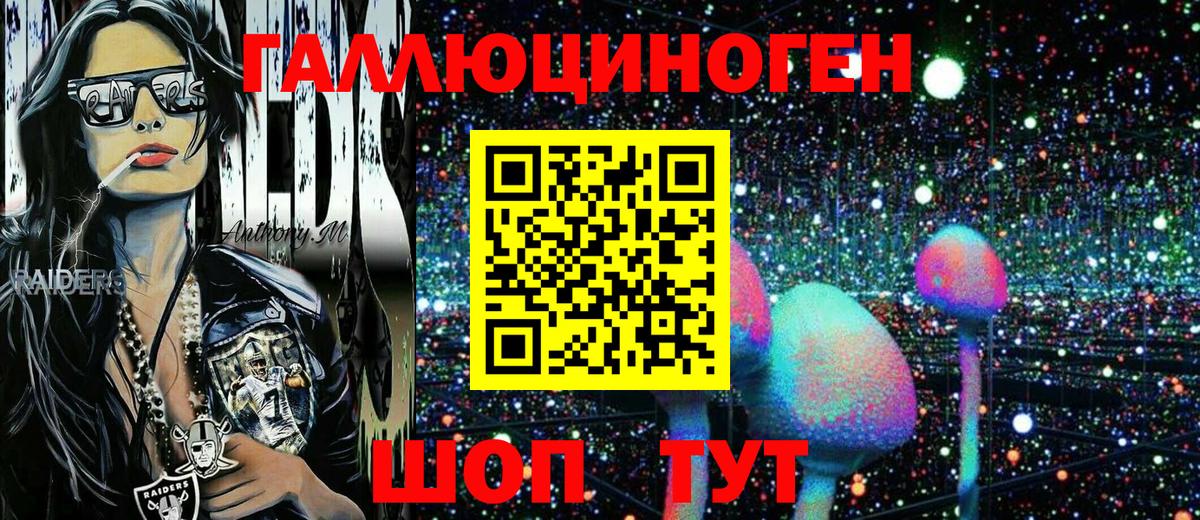 Галлюциногенные грибы Psilocybe Кинешма